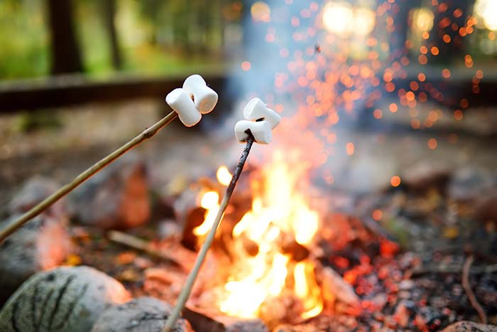 Roasting marshmallows on sticks over a campfire